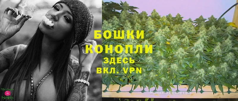 купить наркотики сайты  Заполярный  Канабис LSD WEED 